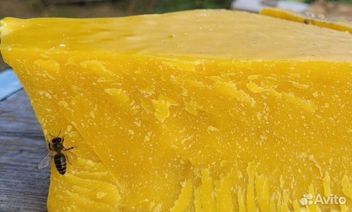 Воск пчелиный