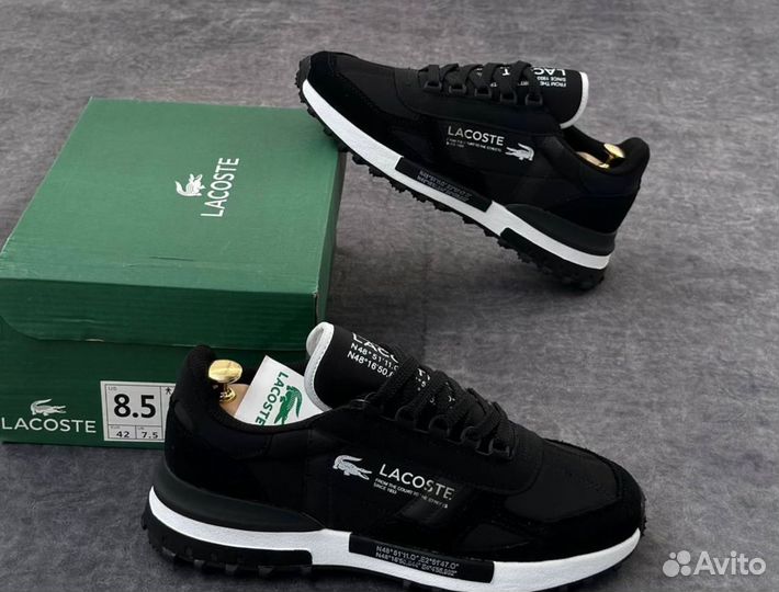 Кроссовки lacoste мужские