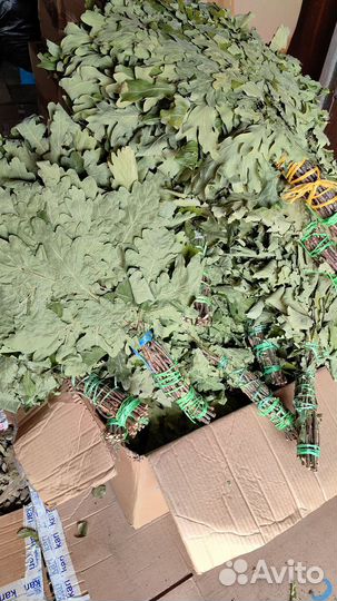 Травы для запарок и венички,для баньки