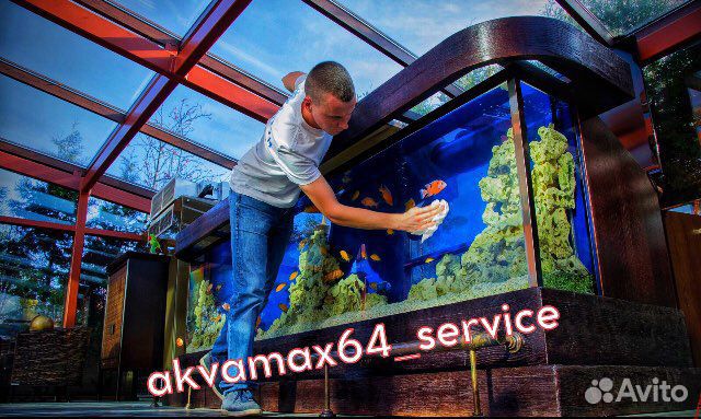 Чистка аквариума №1 в Саратове