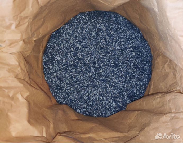 Семена подсолнечника Горфилд,Гудсан,Ника