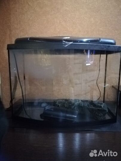 Аквариум