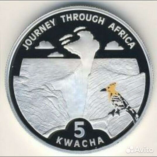 Серебряная монета 