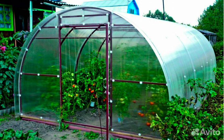 Теплицы из поликарбоната