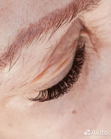 Наращивание ресниц оформление бровей