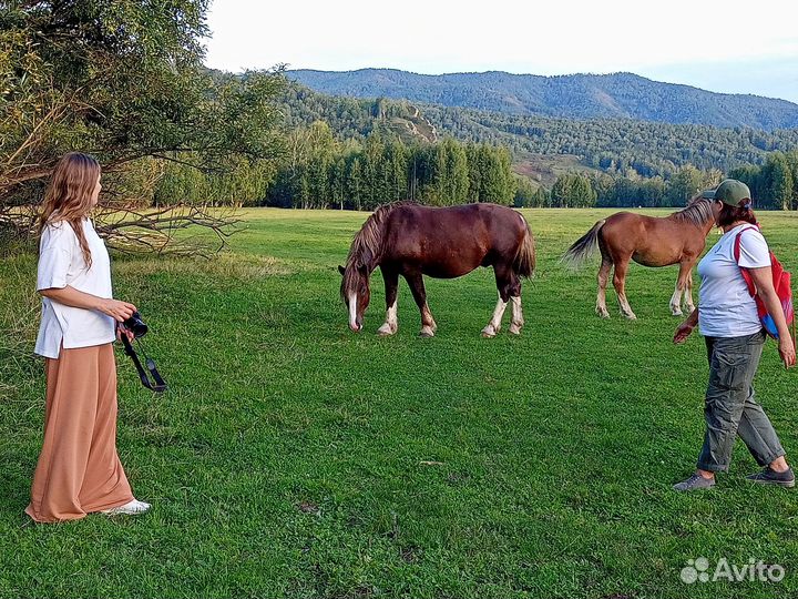Сдам в аренду дом в деревне