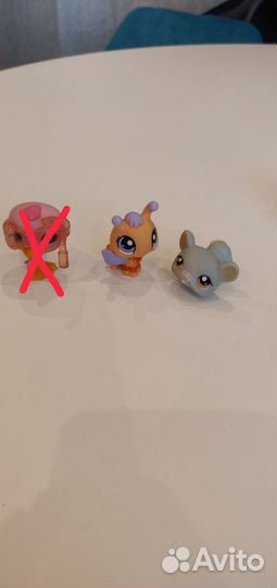 Littlest pet shop