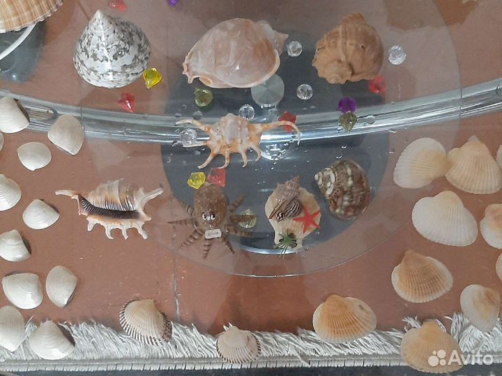 Ракушки разные по размеру,и фигуркам