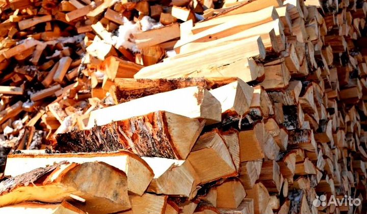 Дрова без жучков