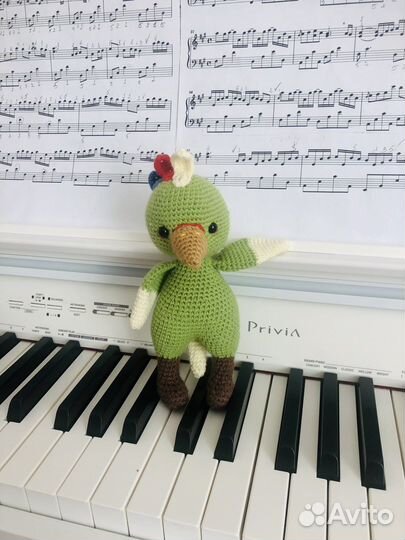 Попугай 