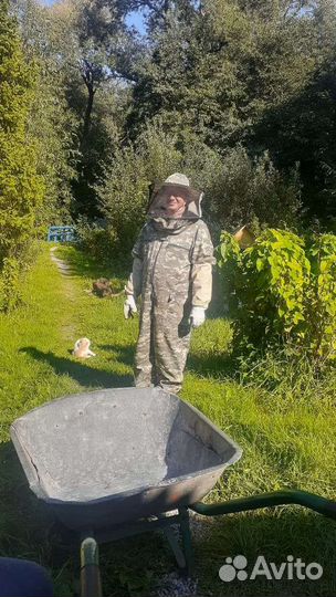 Натуральный мед 23 год качка