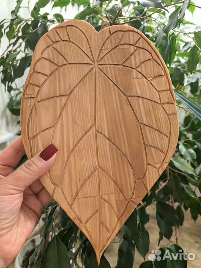 Лист антуриума