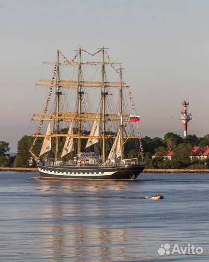 Экскурсии. Куршская коса, Калининград и область