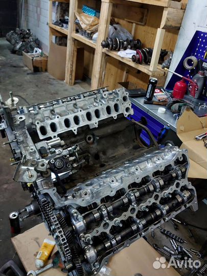 Двигатель 1vdftv / гарантия 50000км