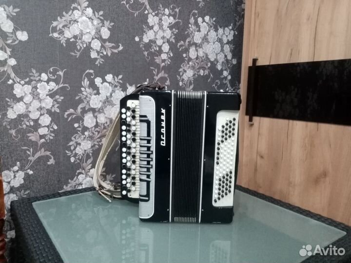 Баян Огонек 2