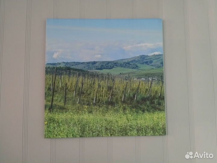 Фото на холсте, фотопечать на холсте