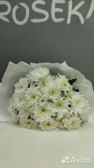 Хризантемы в Комсомольске