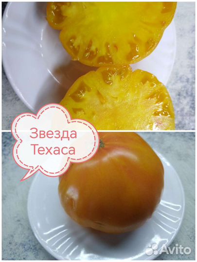 Семена томатов