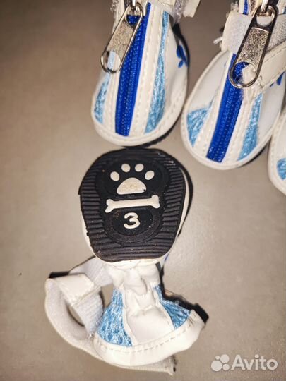 Ботинки весенние для собак, р. 3