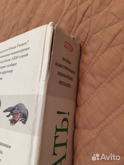 Энциклопедия для детей