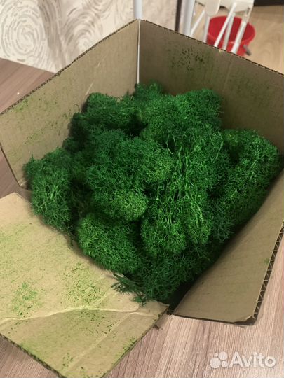 Мох декоративный