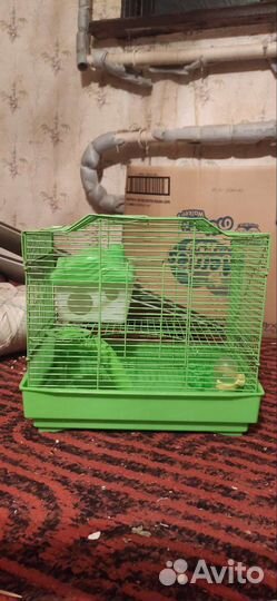Клетка для джунгарика
