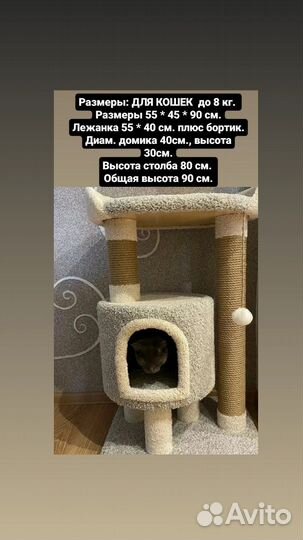 Когтеточка, домик 