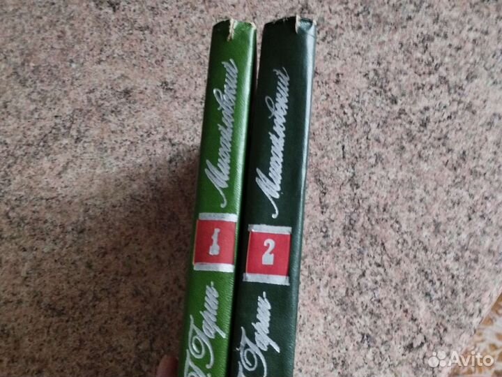 Гарин- Михайловский 2 тома