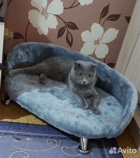 Лежанка для кота/кошки или маленькой собаки