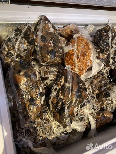 Грибы замороженные