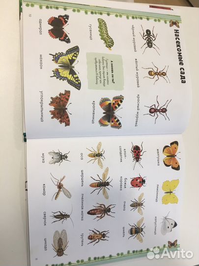 Детские энциклопедии, детские книги