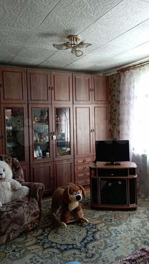 3-к. квартира, 49 м², 1/1 эт.