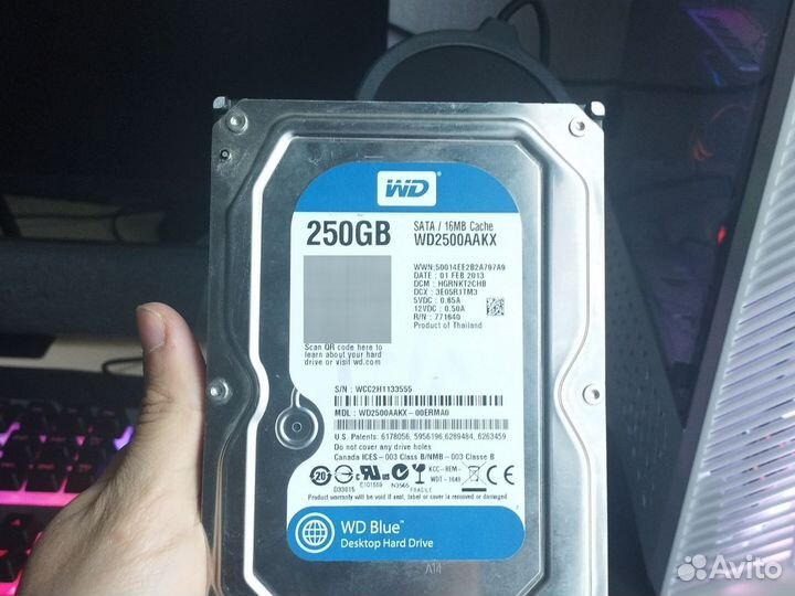 Жесткий диск 250 гб производитель WD