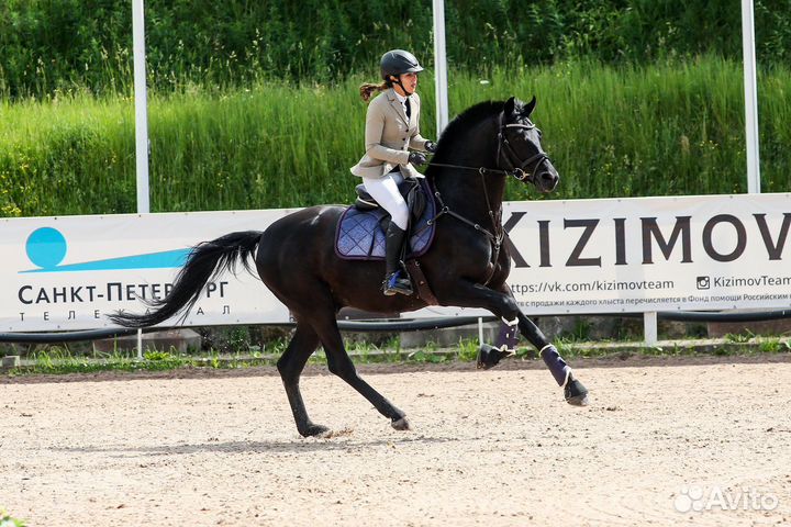 Тренировки по конному спорту и верховой езде