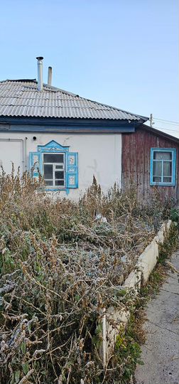 Дом 43,8 м² на участке 7,39 га