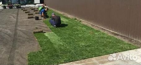 Газон от производителя