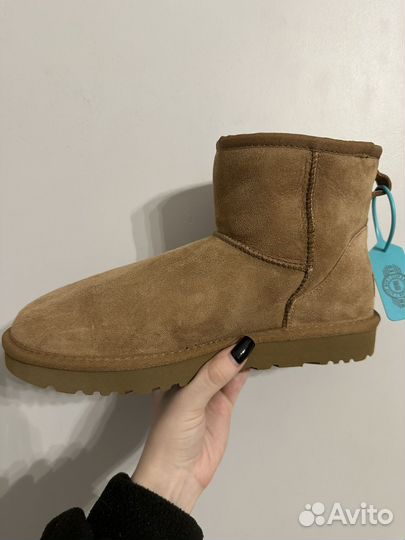 Угги Ugg Classic Mini Chestnut Оригинал