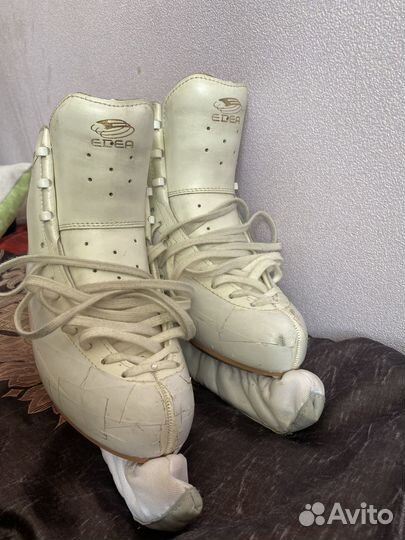 Фигурные коньки edea overture