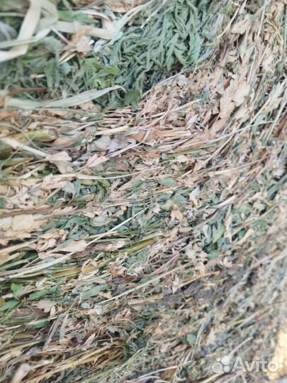 Тюки люцерны, суданки