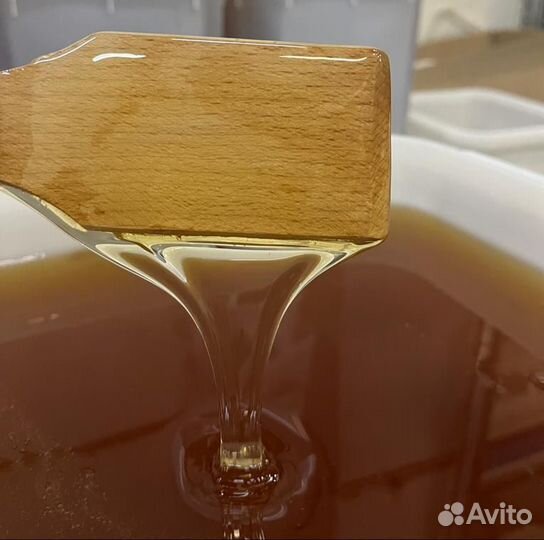 Оптом свежий горный мед