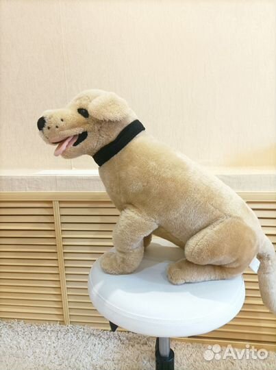 Большая мягкая игрушка собака (Граф)