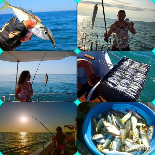 Экскурсия Рыбалка морская Сочи Адлер