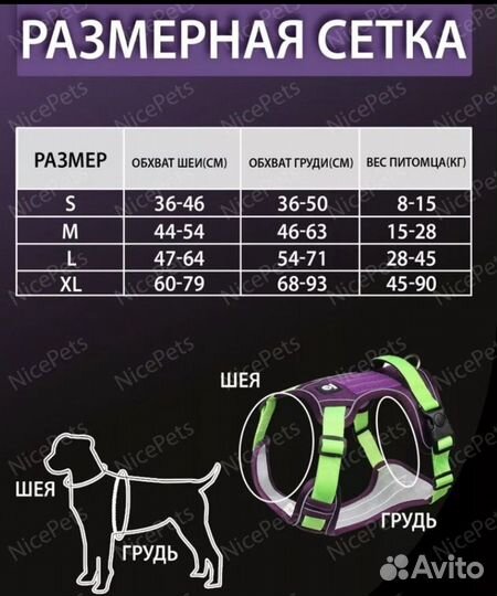 Анатомическая шлейка для собак