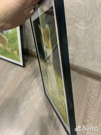 Рамка для фотографий, багет, картина