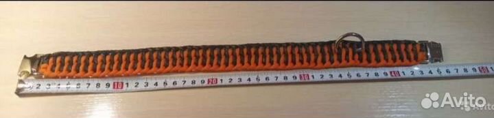 Ошейник для собак из паракорда