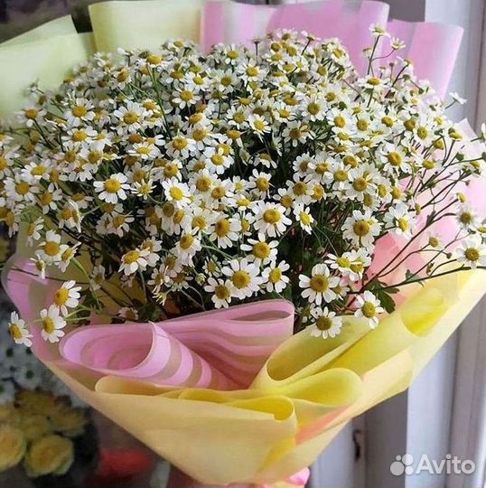 Ромашки Пионы Розы Доставка