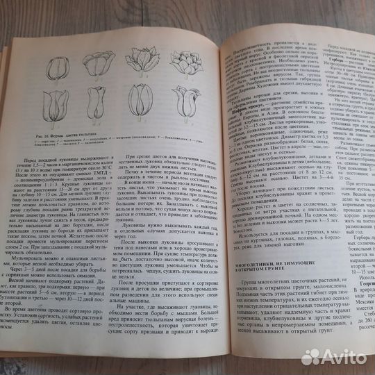 Учебная книга цветовода. 1974 г