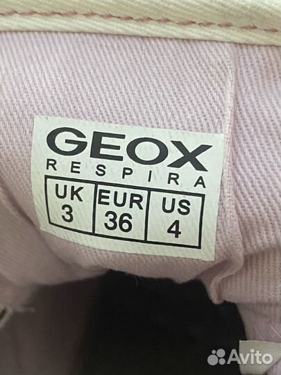 Кеды geox 36