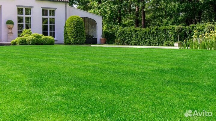 Укладка и продажа газона