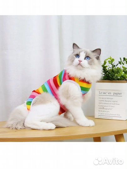 Попона для кошек послеоперационная